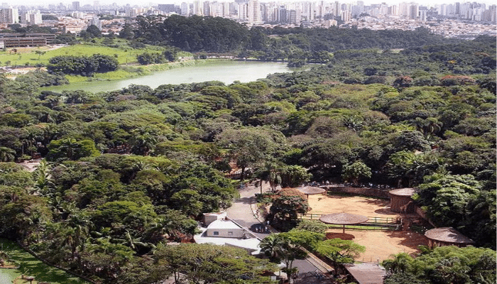 O Zoológico de São Paulo é uma ótima opção de passeio para fazer na capital paulista, confira as dicas e programe sua visita.