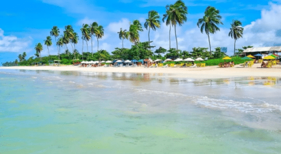 Praia do Marceneiro, um paraíso de tranquilidade em Alagoas.