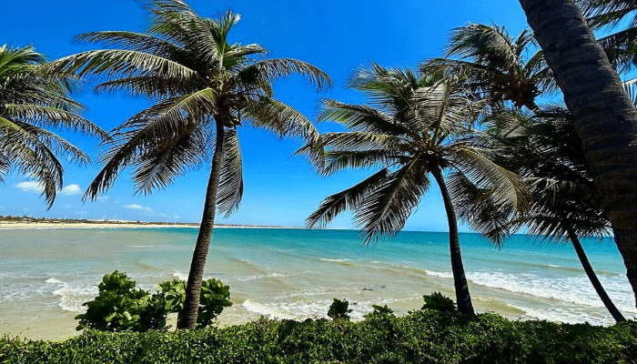 A Praia da Taíba é mais uma encantadora praia do Ceará, com lindas paisagens, mar, lagoa e boa infraestrutura, confira os detalhes.