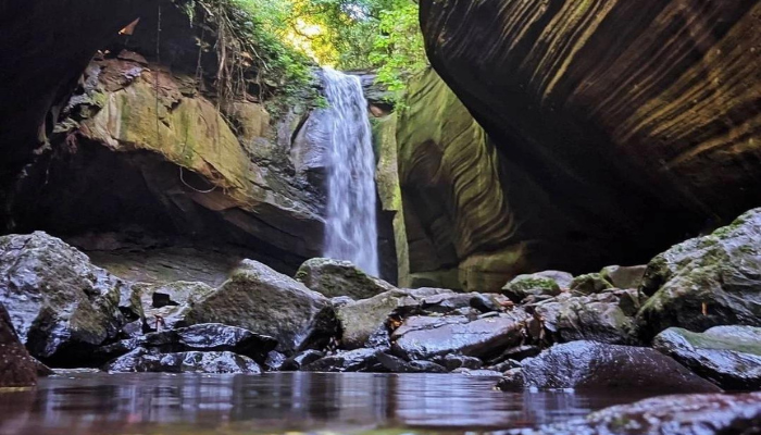 Rolante tem boa gastronomia, enoturismo e lindas paisagens naturais, além disso, é a Terra do cantor Teixeirinha, confira os detalhes.