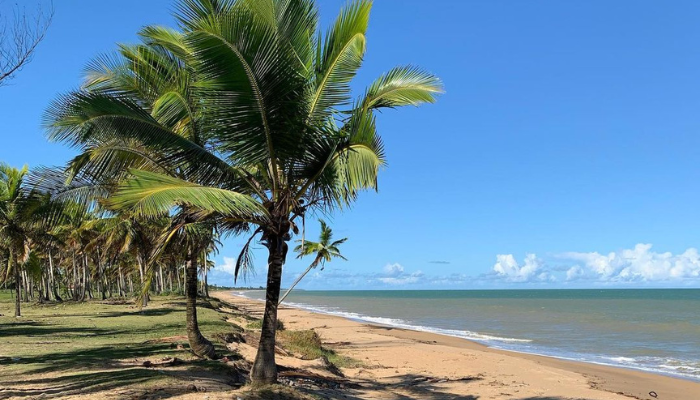 Nova Viçosa é cheia de belas praias, ilhas, mangues e muito mais, com boa infraestrutura turística é uma ótima opção para passar férias.