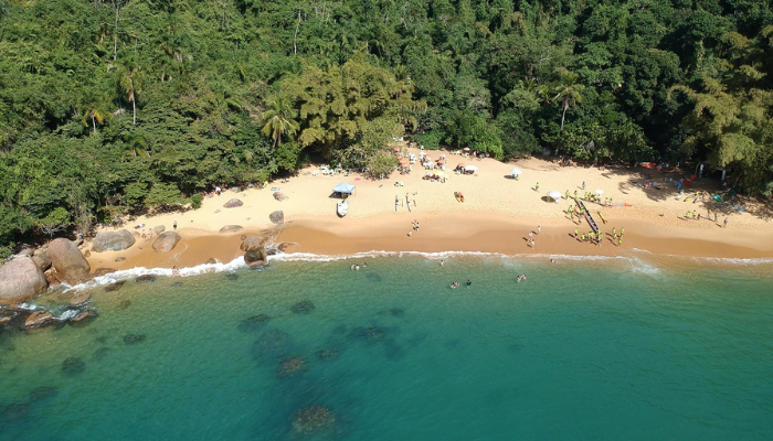 A Praia do Cedro é um paraíso escondido no litoral de São Paulo, confira as dicas e detalhes sobre o lugar e já planeje sua ida para lá.
