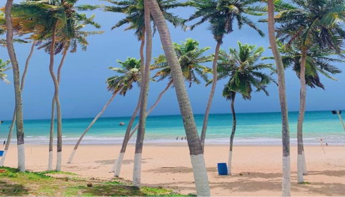 Praia do Zumbi, uma simpática vila de pescadores, ótima para quem gosta de lindas paisagens, sossego e tranquilidade, confira.