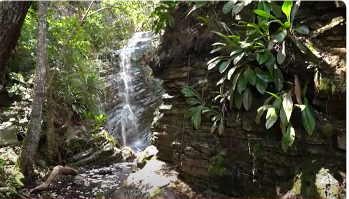 Miguel Calmon é uma cidade tranquila, com lindas paisagens, trilhas e cachoeiras, então, se você gosta ecoturismo e aventura, leia este artigo