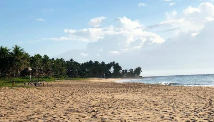 A Praia de Guaxuma é uma das mais sossegadas em Maceió, no entanto, tem barracas bem bacanas para curtir um dia inteiro na praia, confira.