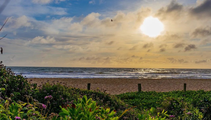 A Praia dos Amores é uma praia tranquila e ótima para o surfe, bem como, para quem quer fugir do agito de Balneário, confira os detalhes.