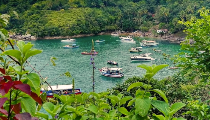 A Praia da Fome é preservada e de águas cristalinas, boas para nadar e mergulhar, descansar, pescar e até fazer trilha, confira os detalhes. 