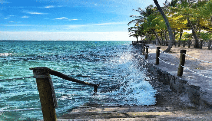 A Ilha de Itaparica é umas das mais bonitas que fica na Baía de Todos os Santos. Confira as melhores praias e o que fazer por lá.