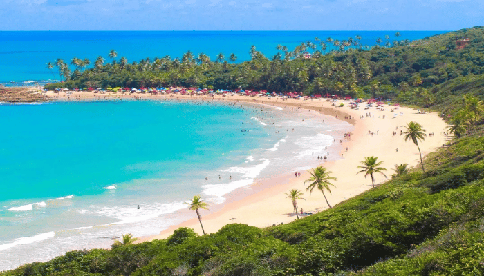 A Praia de Coqueirinho é uma das mais bonitas do litoral sul da Paraíba, com várias atividades para fazer,além de lindas paisagens, confira.