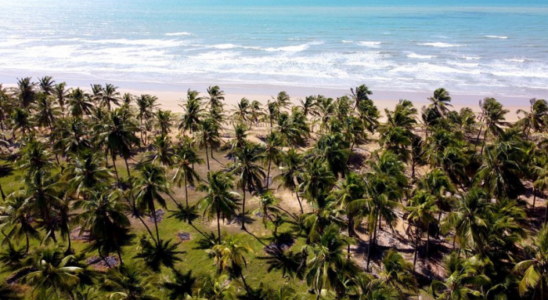 Praia do Toco, uma das mais bonitas em Feliz Desrto.