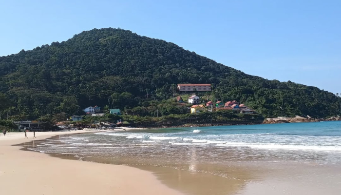 Quatro Ilhas é ótima para passar o dia quente na praia, surfar ou mergulhar, confira os detalhes do que fazer nesse paraíso de Bombinhas