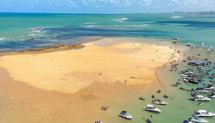 A incrível ilha de Areia Vermelha. Areia Vermelha é uma ilha que surge durante a maré baixa, por isso, veja onde fica, como ir e as dicas de como aproveitar este belo destino.