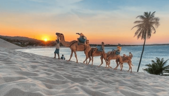 Andar de dromedário pelas dunas de Genipabu é uma bela experiência. Genipabu é um paraíso imperdível para quem visita Natal. Com praia, dunas, lagoas e muitos passeios. Confira os detalhes e monte o roteiro.